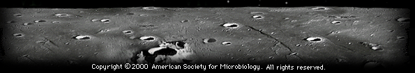 Image of Lunar Surface